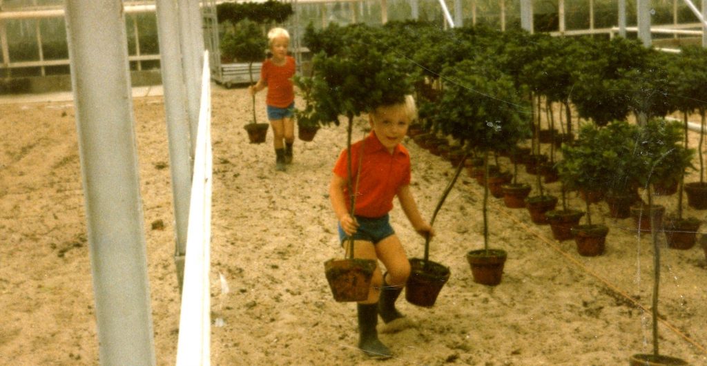 Tom en Fred zetten azalea’s op stam uit (1986)